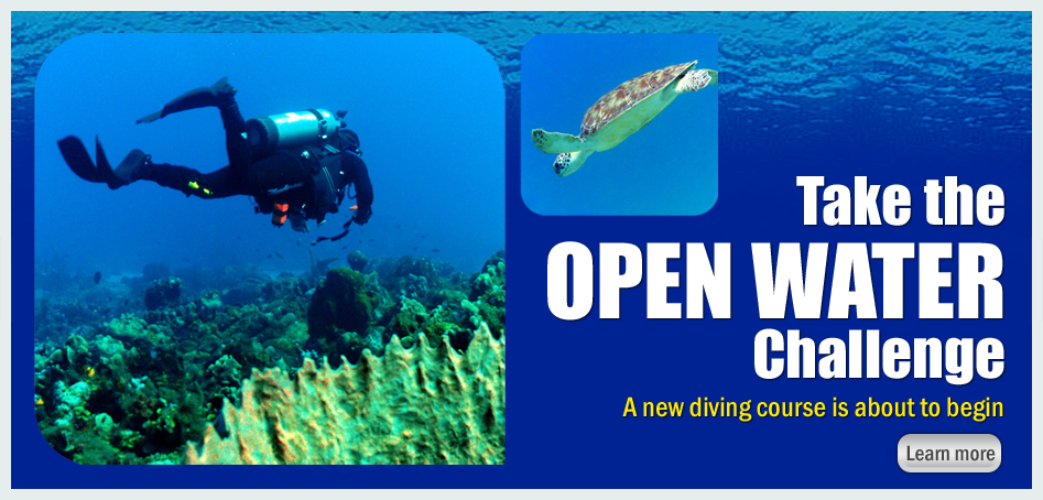 Acepta el reto Open Water. Un nuevo curso de buceo esta por comenzar.