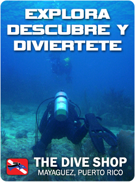Explora, descubre y diviertete
