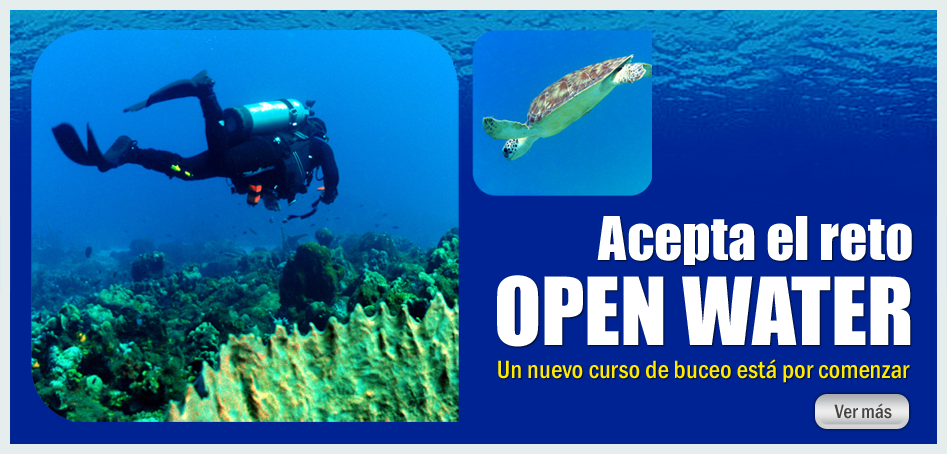 Acepta el reto Open Water. Un nuevo curso de buceo esta por comenzar.